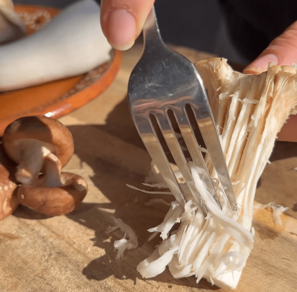 how to shred king oyster mushrooms.