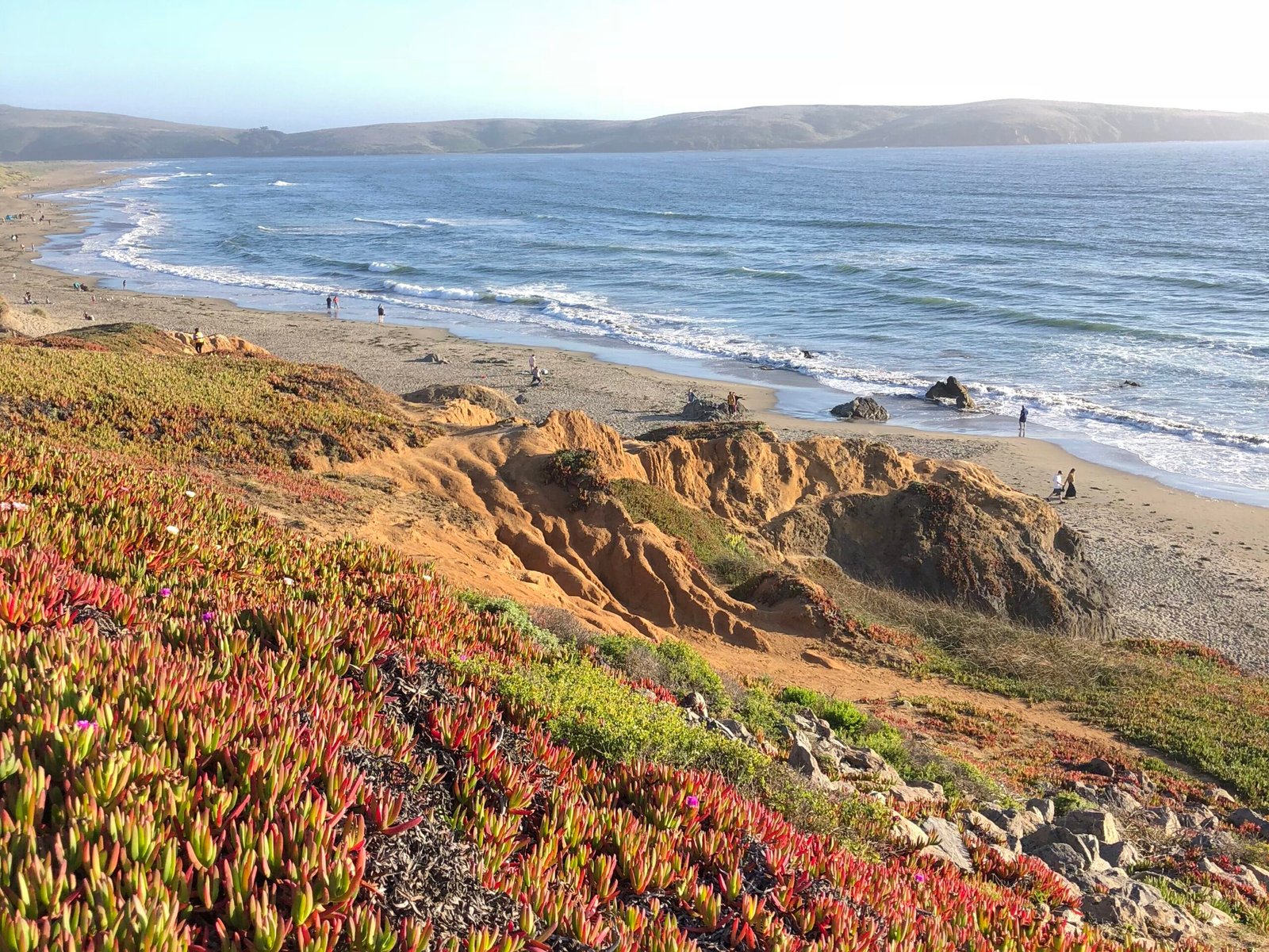 The Perfect Northern California Coastal Road Trip - Marin Sonoma coast
