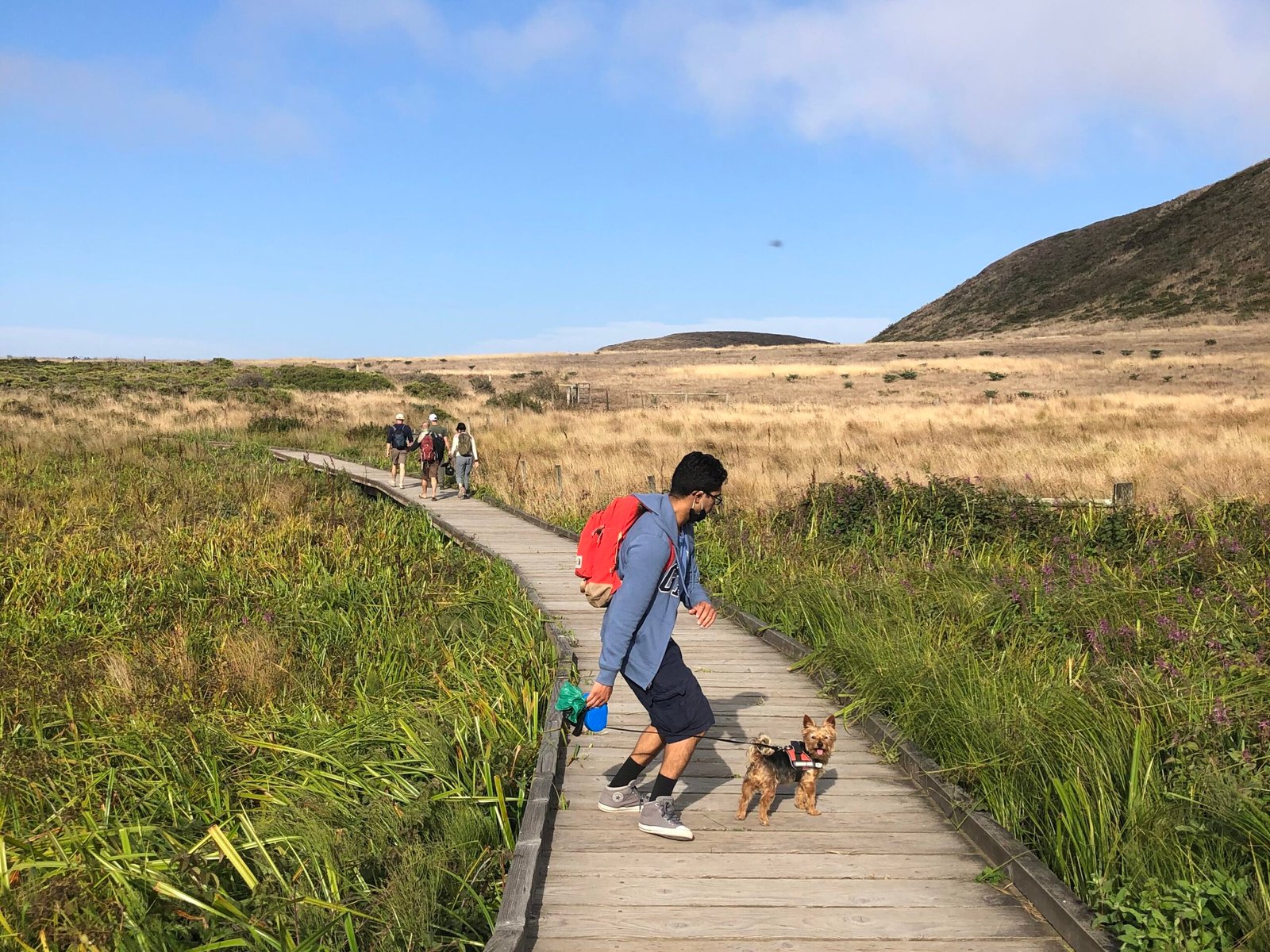 The Perfect Point reyes Trip - Marin Sonoma coast