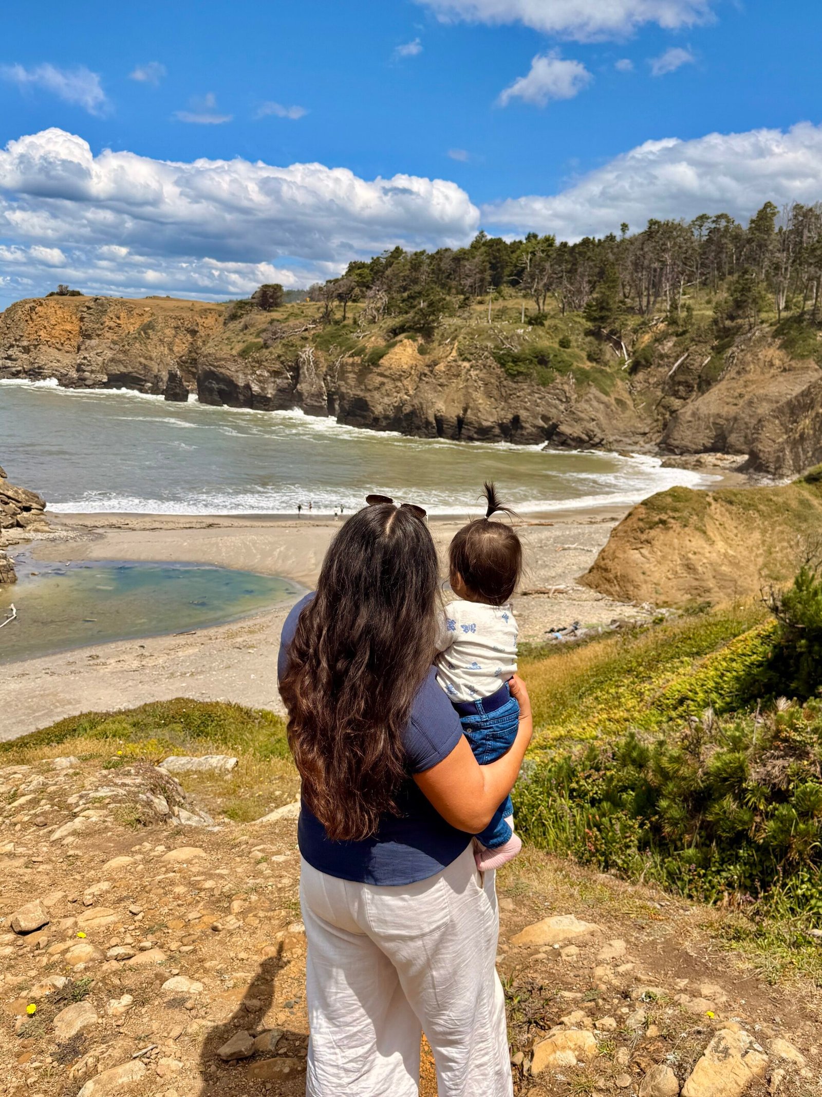 sonoma coast road trip.